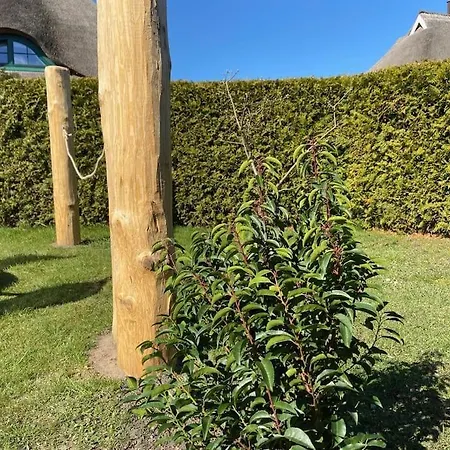 Smucke Reethus Dachgeschoss Appartement *